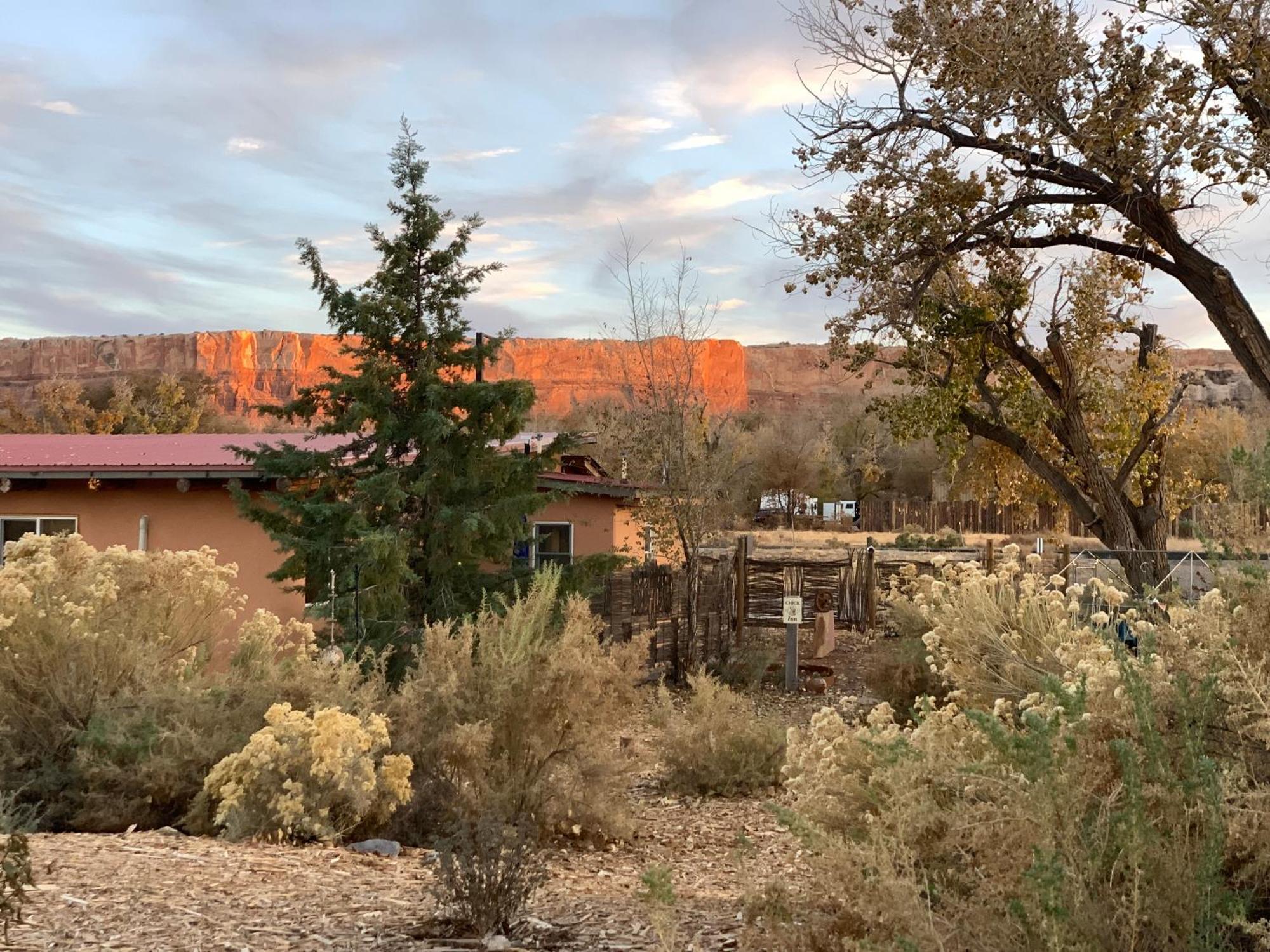 Willow Street Cottages Bluff Bagian luar foto